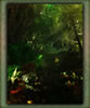 Forest-path