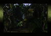 Jungle-head1